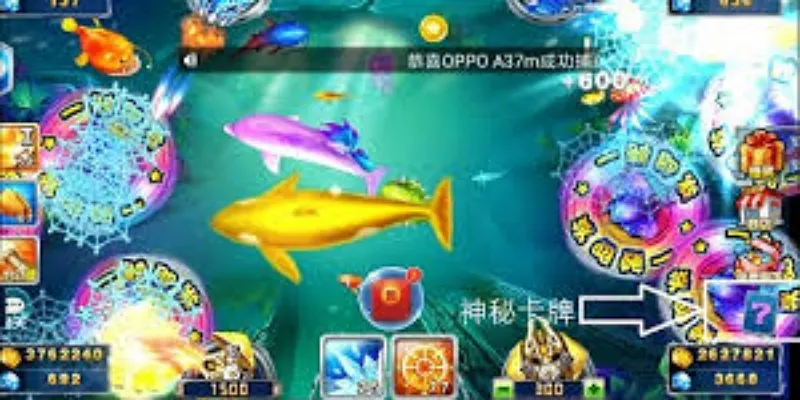 技巧助力捕鱼成功-球速体育