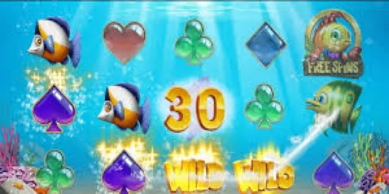 特色玩法与奖金机制-球速体育