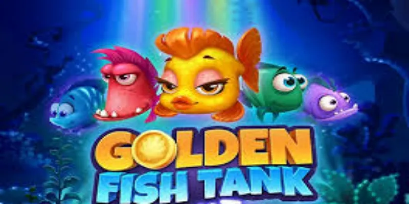 玩转《鱼乐金盆》-球速体育 