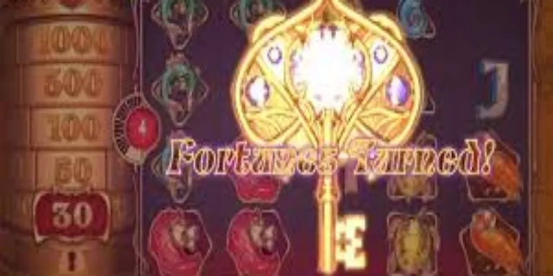 额外特点与亮点-球速体育